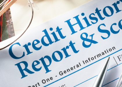 Credit History Report